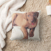 Coussin Chiot de Vizsla de Hongrois (Couverture)