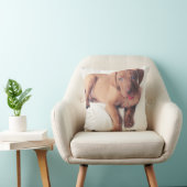 Coussin Chiot de Vizsla de Hongrois (Chaise)