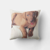 Coussin Chiot de Vizsla de Hongrois (Verso)