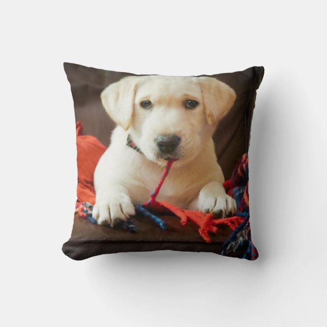 Coussin Chiot des images | de Getty sur un sofa (Recto)