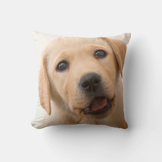 Coussin Chiot d'or de Labrador (Recto)