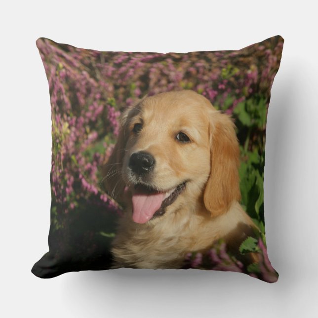 Coussin Chiot d'or de Retreiver (Recto)