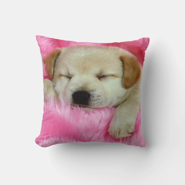 Coussin Chiot dormant sur le carreau rose (Recto)