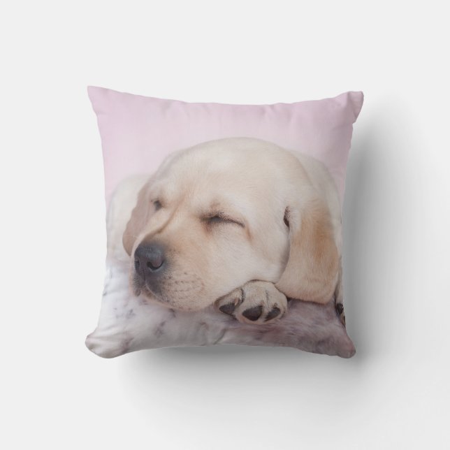 Coussin Chiot du Labrador (Recto)