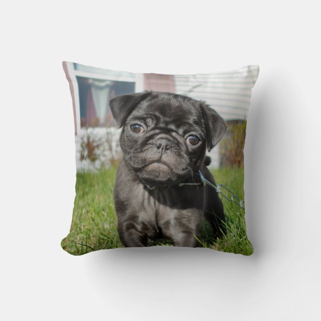 Coussin Chiot en carlin noir (Recto)