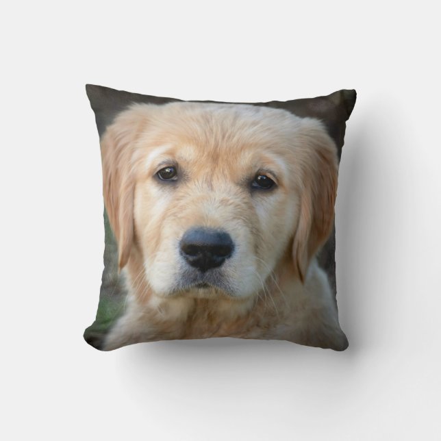 Coussin Chiot Golden Retriever (Recto)
