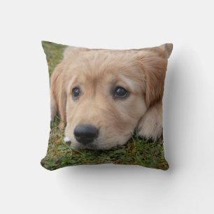 Coussin Chiot Mignon Chien