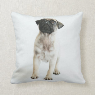 Coussin Chiot mignon de carlin
