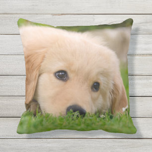 Coussin Chiot mignon de golden retriever rêvant pour