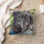 Coussin Chiot noir de carlin utilisant une veste (Couverture)