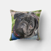 Coussin Chiot noir de carlin utilisant une veste (Verso)