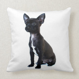 Coussin Chiot noir de chiwawa