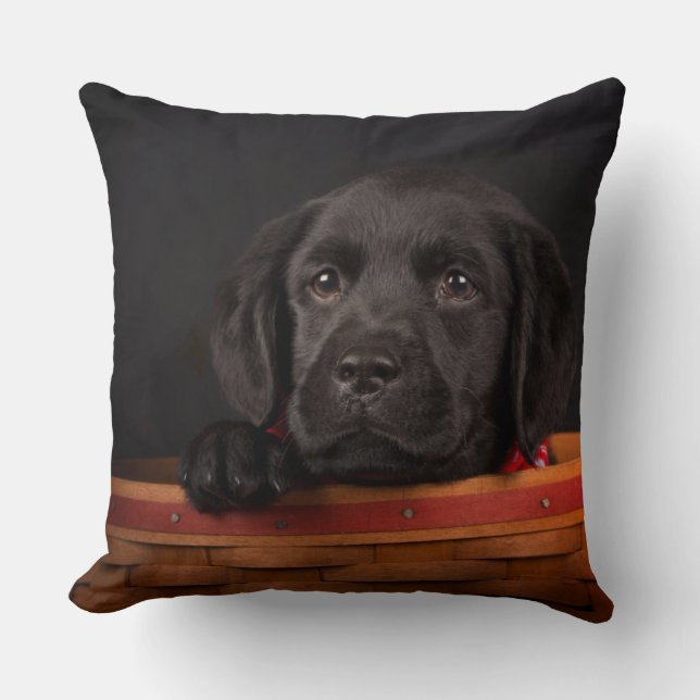 Coussin Chiot noir de labrador retriever dans un panier (Recto)