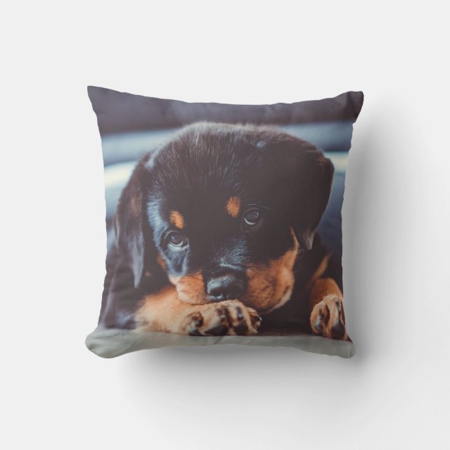 Coussin Chiot Rottweiler Adorable au Repos (Recto)