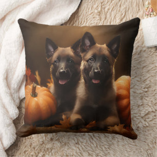 Coussin Chiots Berger Belge Délice d'Automne Citrouille