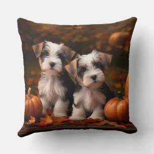 Coussin Chiots Biewer Terrier Automne Délice Citrouille