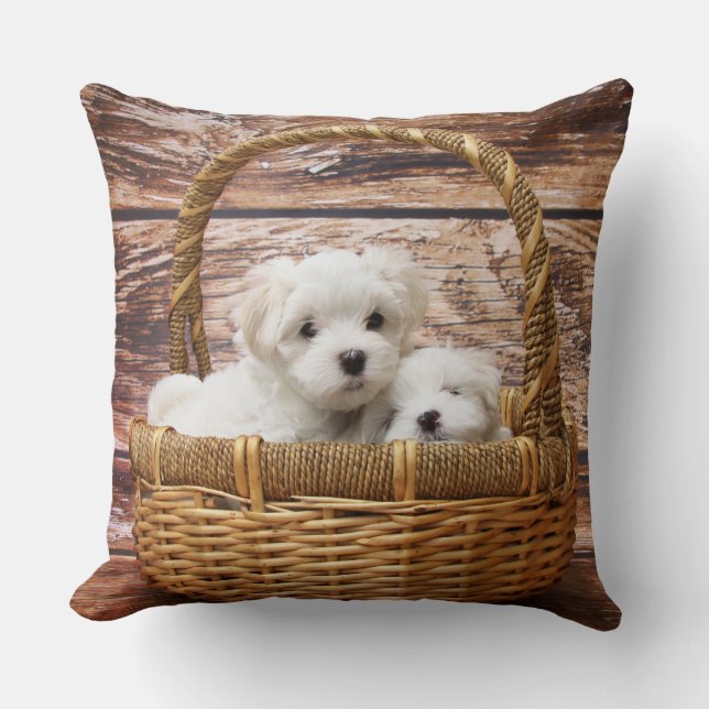 Coussin Chiots Blancs Dans Un Panier (Recto)