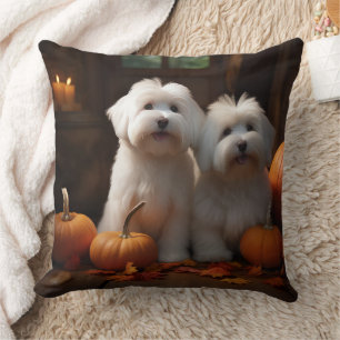 Coussin Chiots Coton De Tulear Délice d'Automne Citrouille