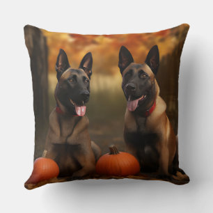 Coussin Chiots Malinois Belge Délice d'Automne Citrouille