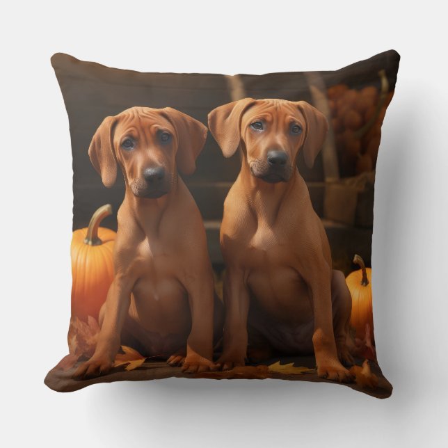 Coussin Chiots Rhodesian Ridgeback Délice d'Automne Citrou (Recto)