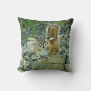 Coussin Chipmunk dans le parc national des Glaciers