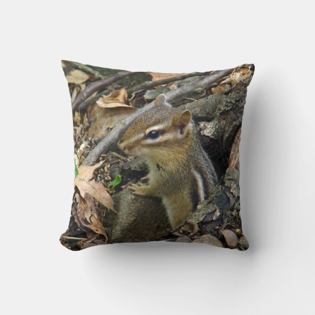 Coussin Chipmunk oriental - Tamias striatus (Recto)