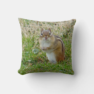 Coussin Chipmunk oriental - Tamias striatus