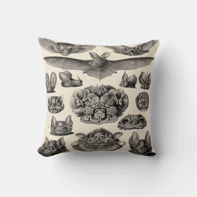Coussin Chiroptera de Haeckel (Recto)
