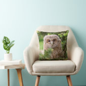 Coussin Chouette (Chaise)