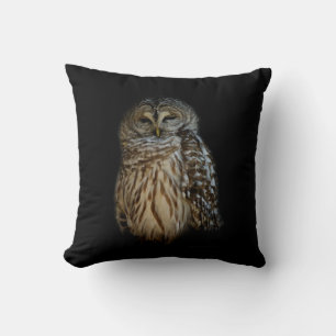 Coussin Chouette endormie