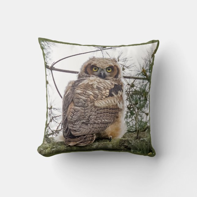 Coussin Chouette Sur Une Branche De Pin (Recto)