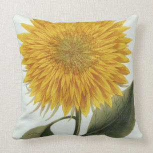 Coussin Chrysanthème Indicum de 'Pythanthoza Iconograph