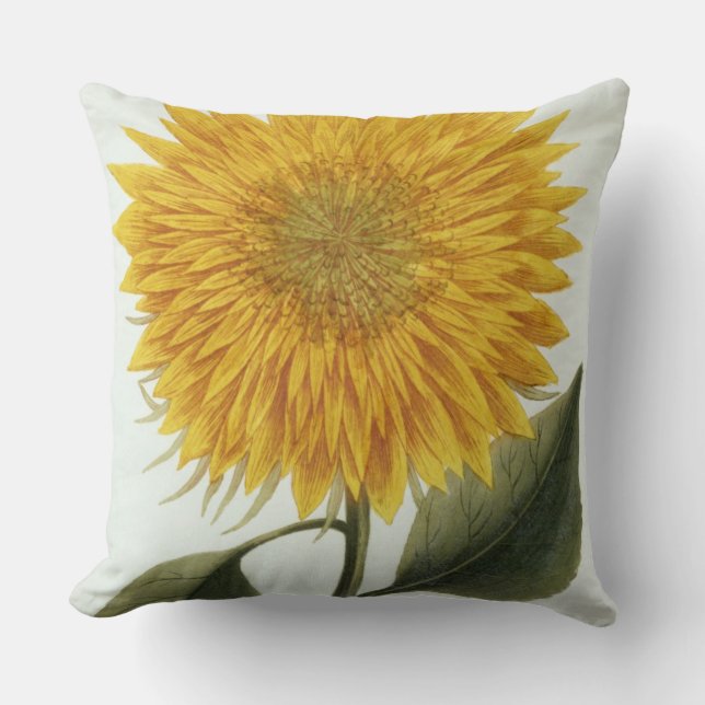 Coussin Chrysanthème Indicum de 'Pythanthoza Iconograph (Recto)
