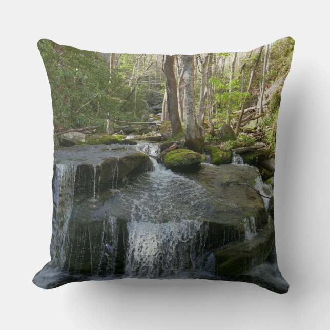 Coussin Chutes de Findlay I (Recto)