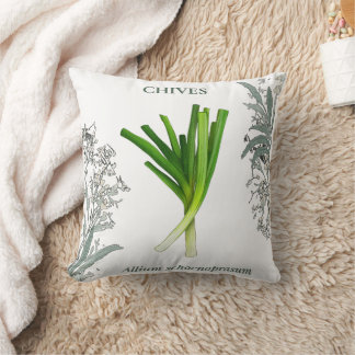 Coussin Ciboulette — Allium schoenoprasum