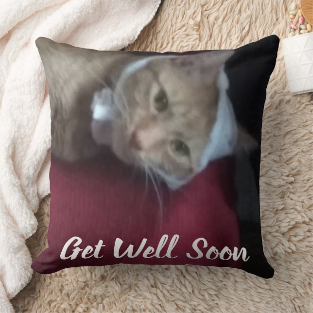 Coussin Citation de chat pour un prompt rétablissement Hum (Couverture)