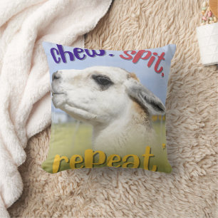 Coussin citation de llama