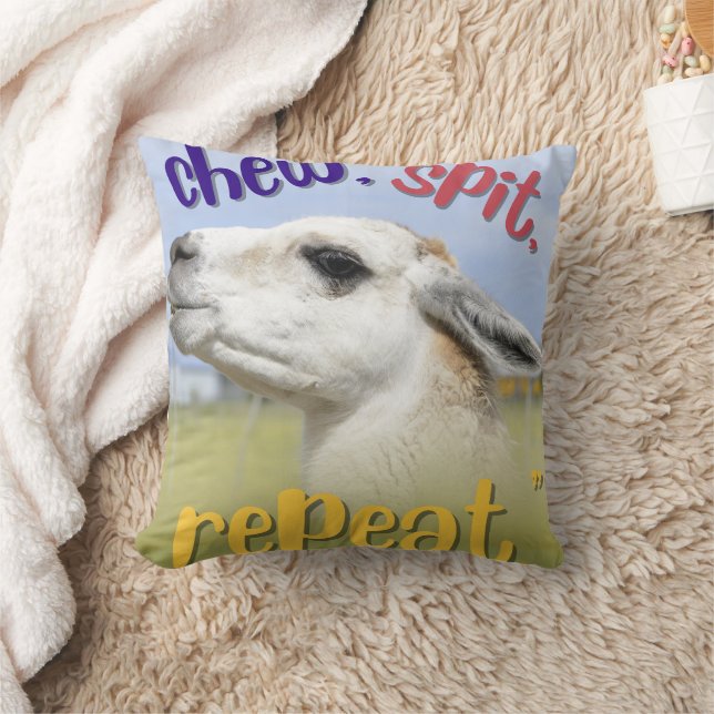 Coussin citation de llama (Couverture)