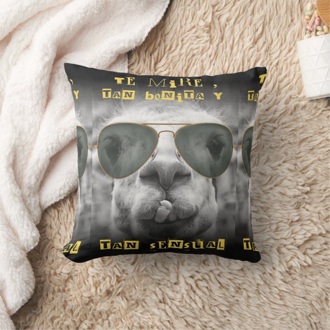 Coussin citation de llama (Couverture)