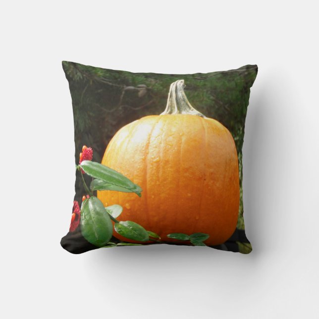 Coussin citrouille d'automne sur une clôture noire (Recto)