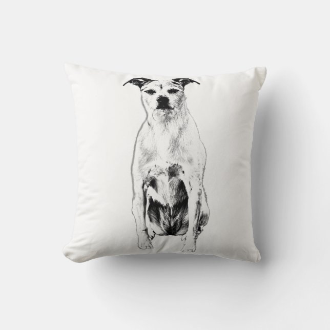 Coussin Citrouille Lantern Sentinel (Recto)