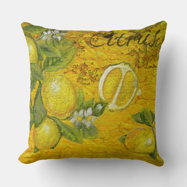Coussin Citrus (Recto)