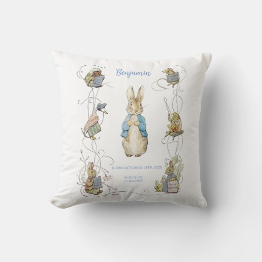 Coussin Classic Peter le lapin Vert En vichy statistiques  (Recto)