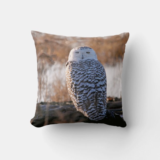 Coussin Cligner de l'oeil de hibou de Milou (Recto)