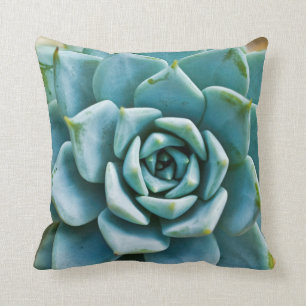 Coussin Closeup Succulent