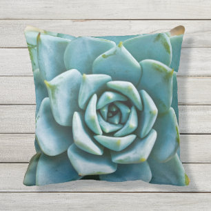 Coussin Closeup Succulent