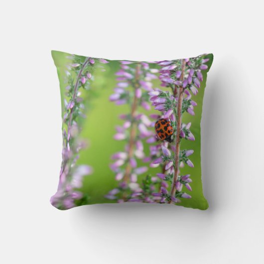Coussin Coccinelle sur fleur violette - (Recto)