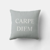 Coussin Coche de citation latine Carpe Diem - gris (Verso)