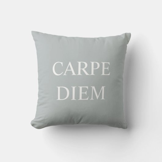 Coussin Coche de citation latine Carpe Diem - gris (Recto)