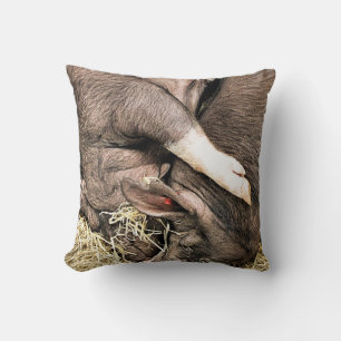 COUSSIN COCHONS DE SOMMEIL